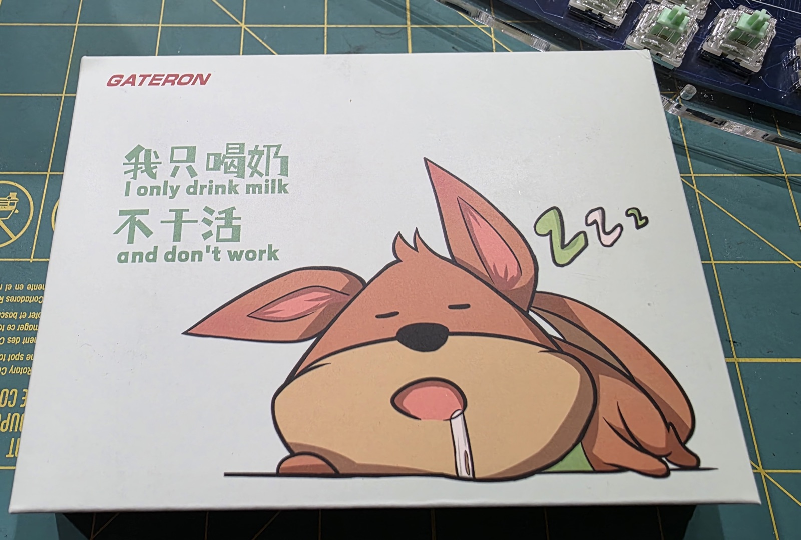 Gateron Baby Kangaroo 2.0 switch box, featuring a sleepy cartoon kangaroo captioned &ldquo;I only drink milk and don&rsquo;t work&rdquo;